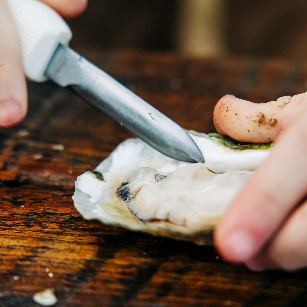 Are oysters really an aphrodisiac?